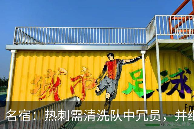 名宿：热刺需清洗队中冗员，并继续引援支持德泽尔比建队